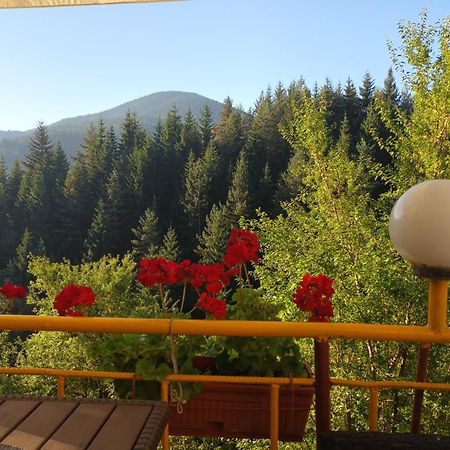 Guest House Stoletnika Yagodina Exterior foto