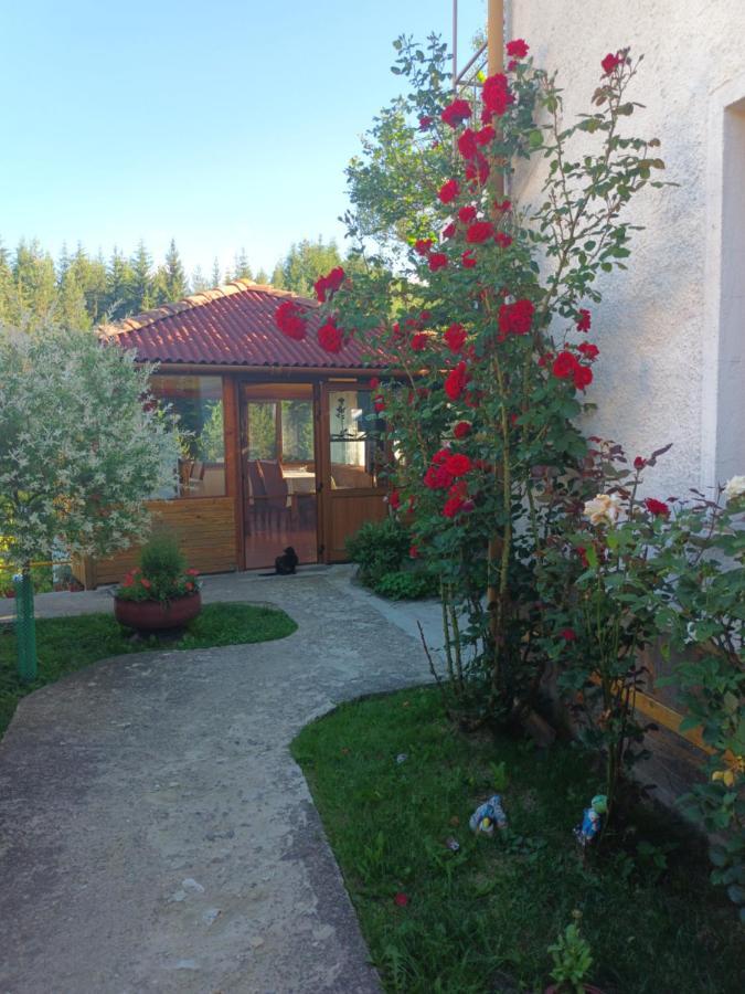 Guest House Stoletnika Yagodina Exterior foto