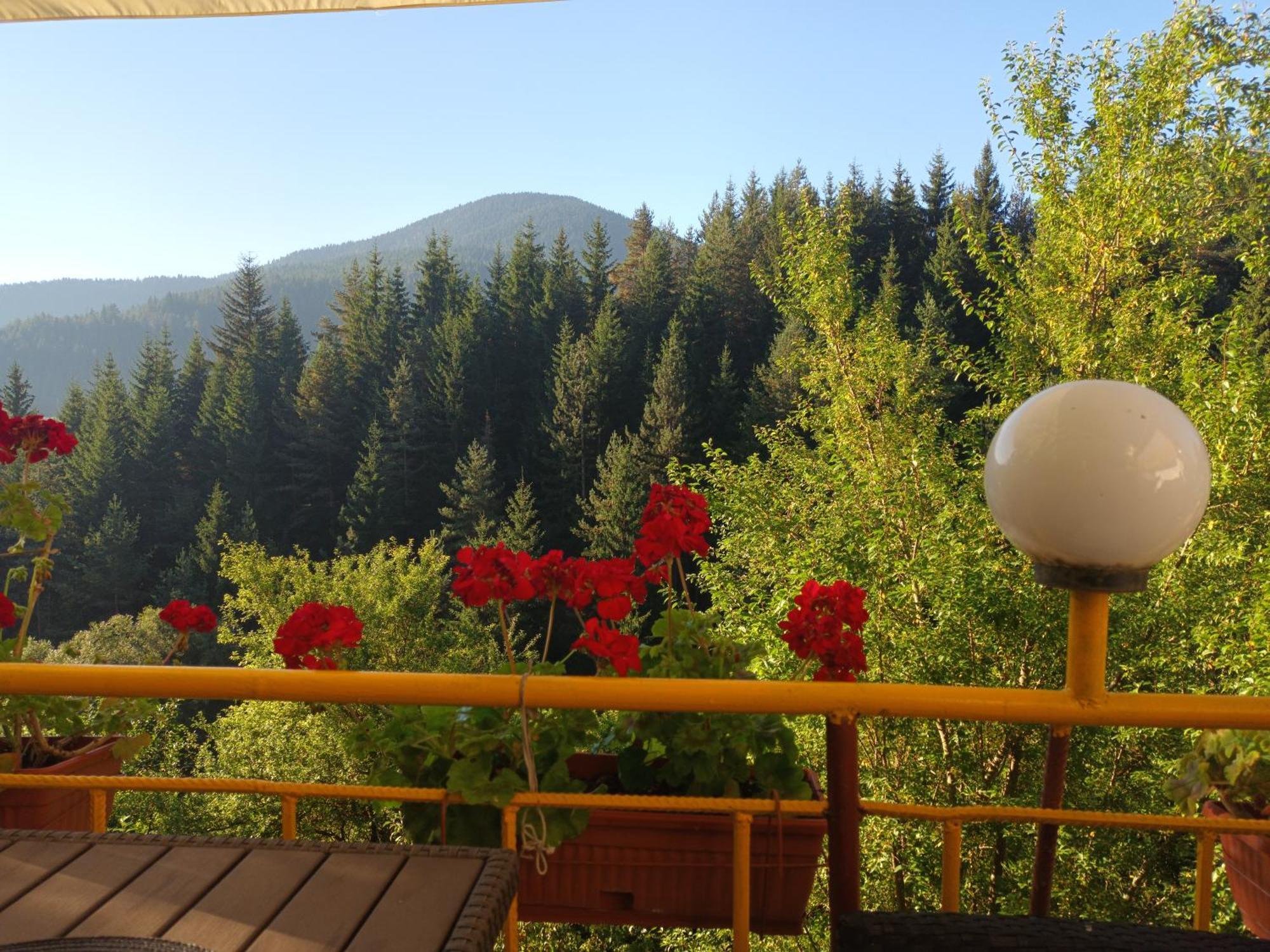 Guest House Stoletnika Yagodina Exterior foto