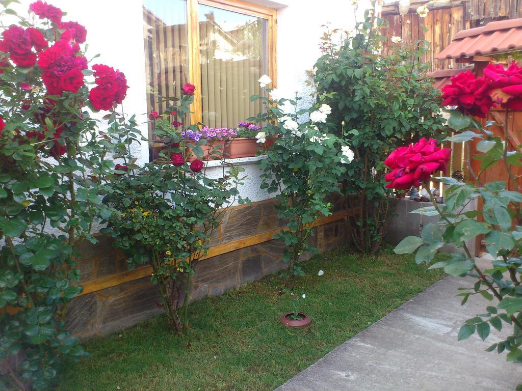 Guest House Stoletnika Yagodina Exterior foto