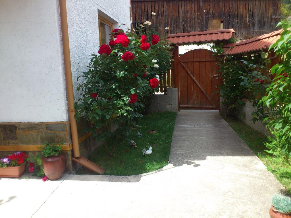 Guest House Stoletnika Yagodina Exterior foto